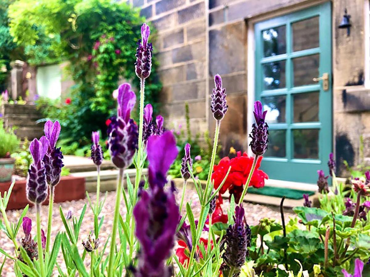 טודמורדן Ewood Cottage *New* Exquisite Country Cottage מראה חיצוני תמונה